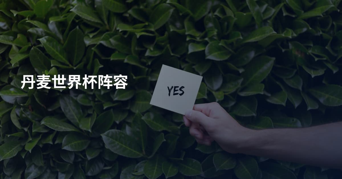 丹麦世界杯阵容