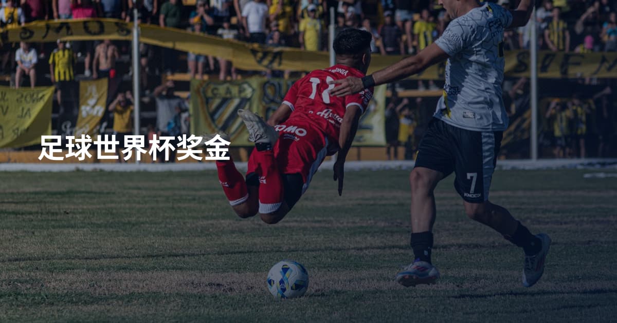 足球世界杯奖金