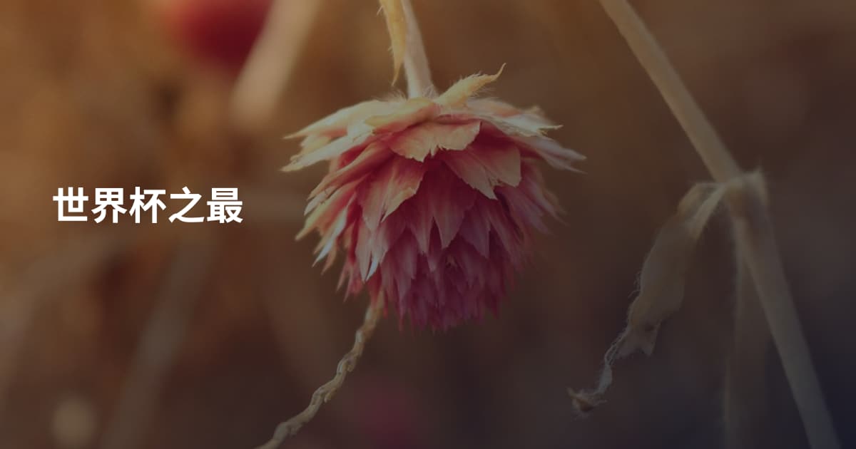 世界杯之最