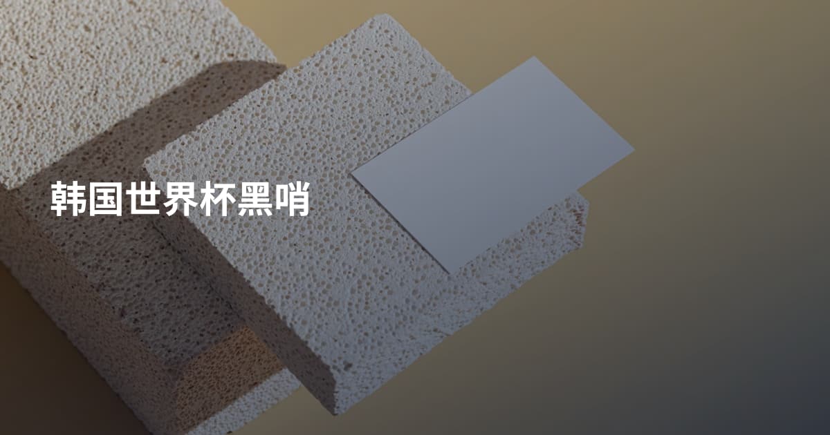 韩国世界杯黑哨