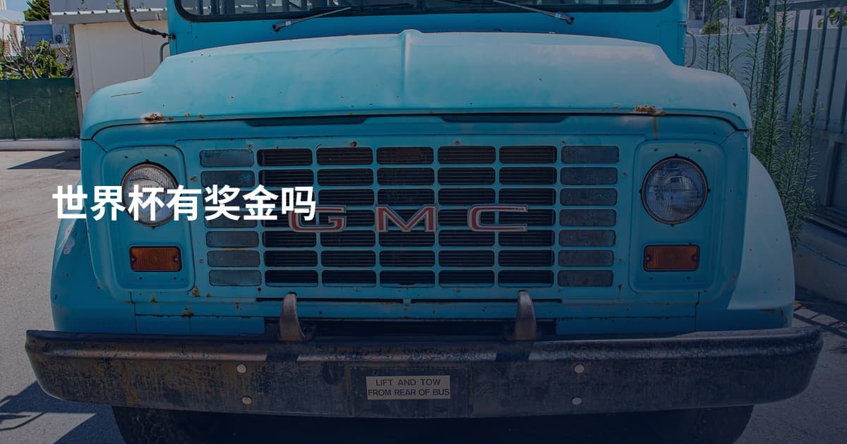 世界杯有奖金吗