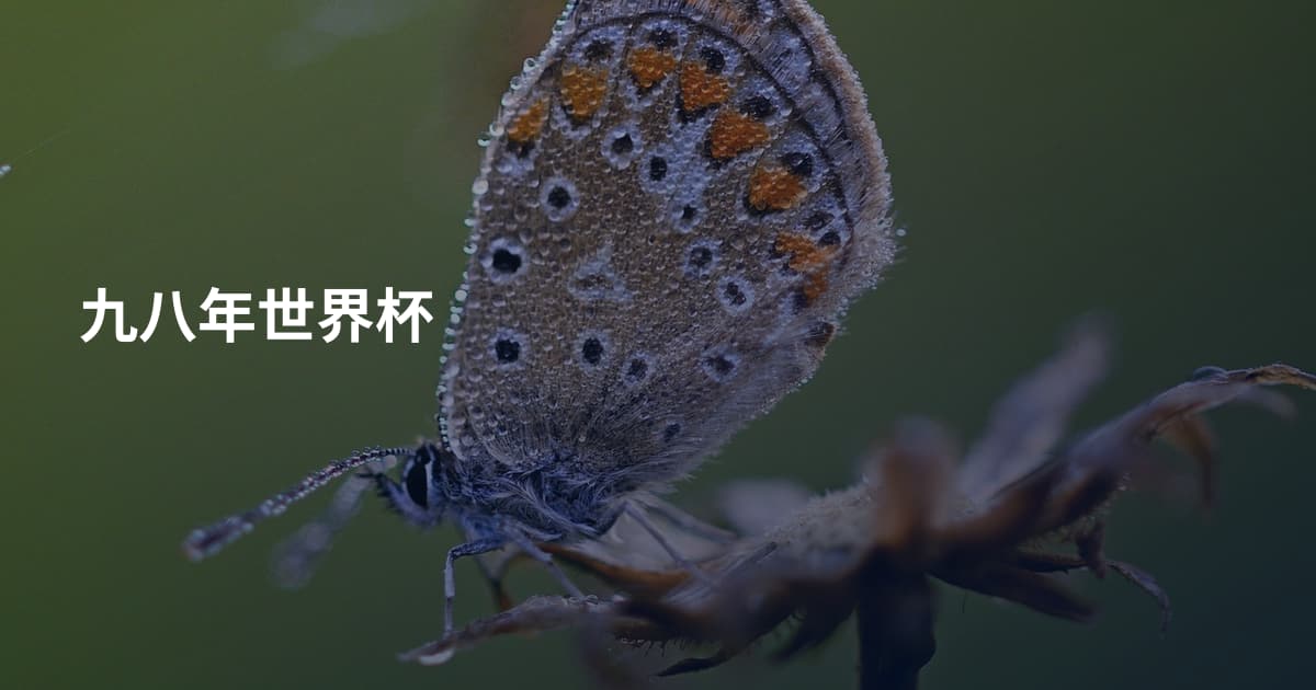九八年世界杯