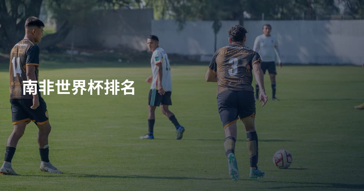 南非世界杯排名