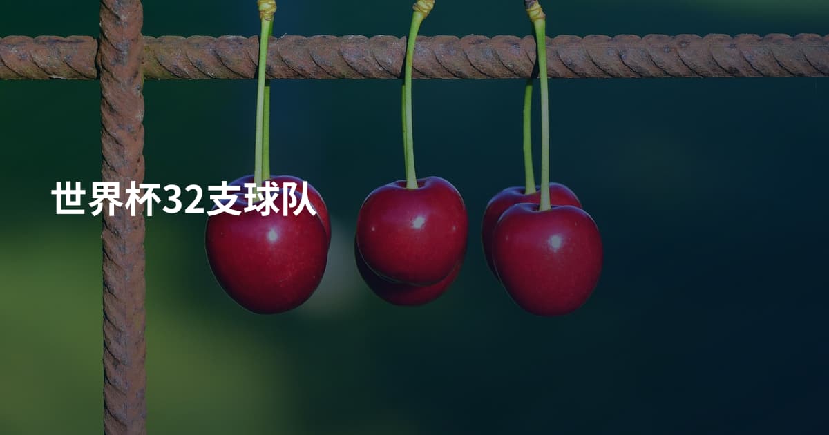 世界杯32支球队