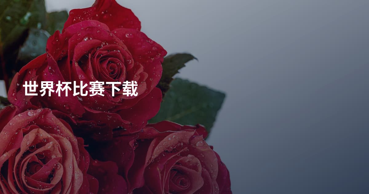 世界杯比赛下载