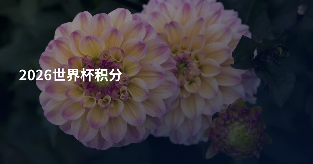 2026世界杯积分