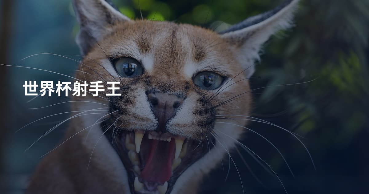 世界杯射手王