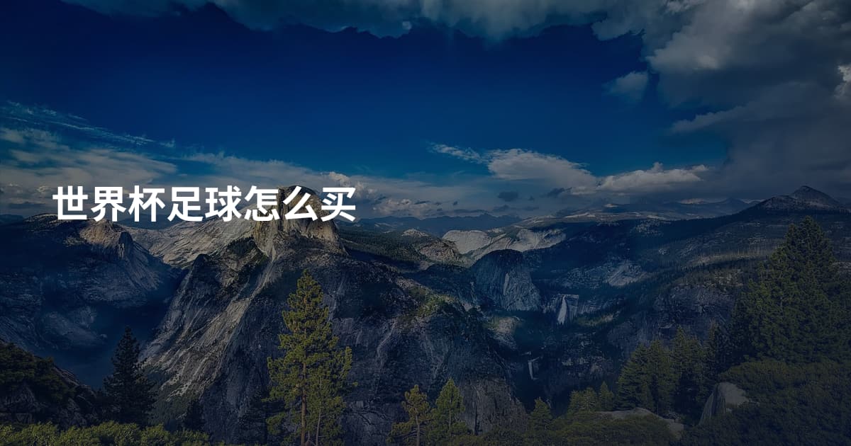 世界杯足球怎么买