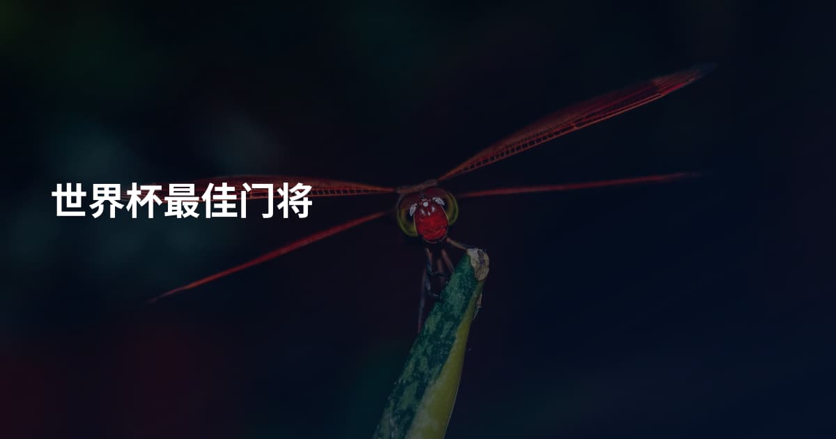 世界杯最佳门将