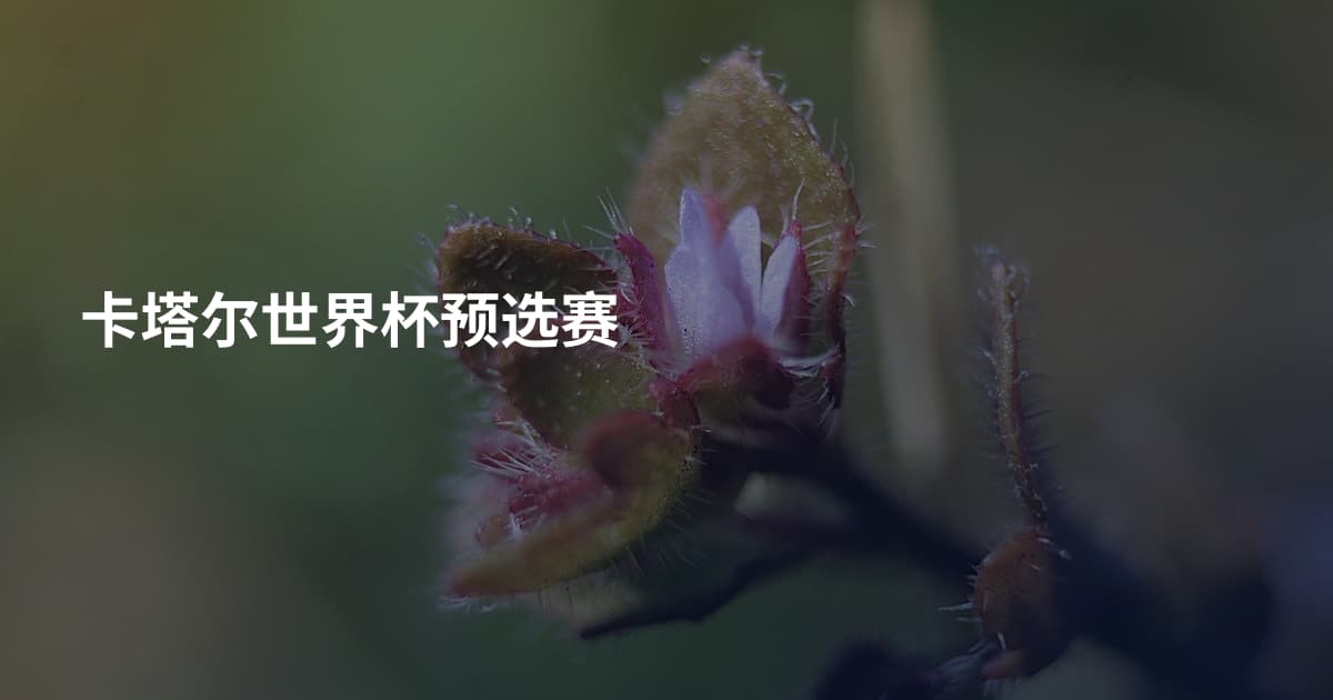 卡塔尔世界杯预选赛
