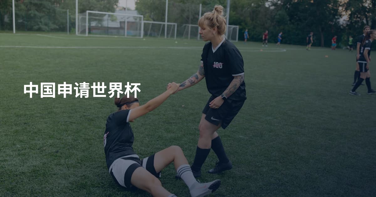 中国申请世界杯
