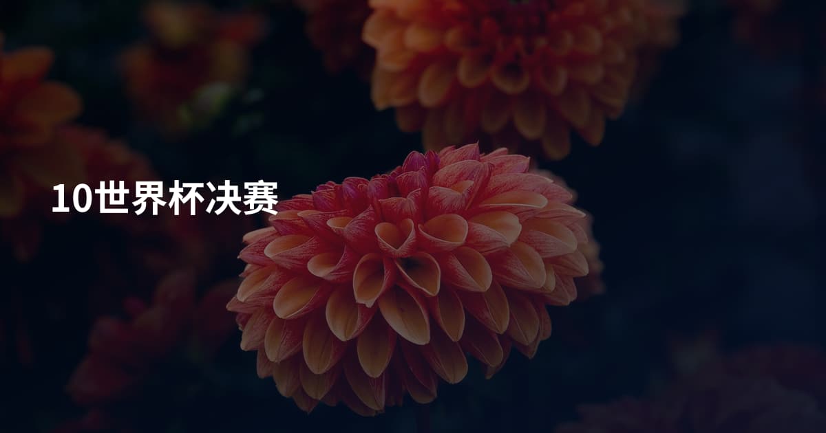10世界杯决赛