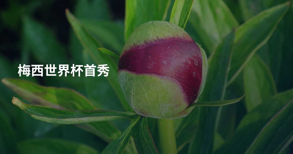 梅西世界杯首秀