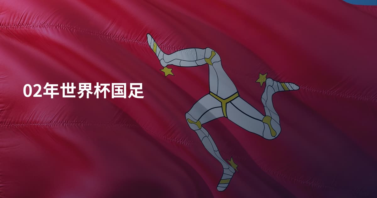 02年世界杯国足