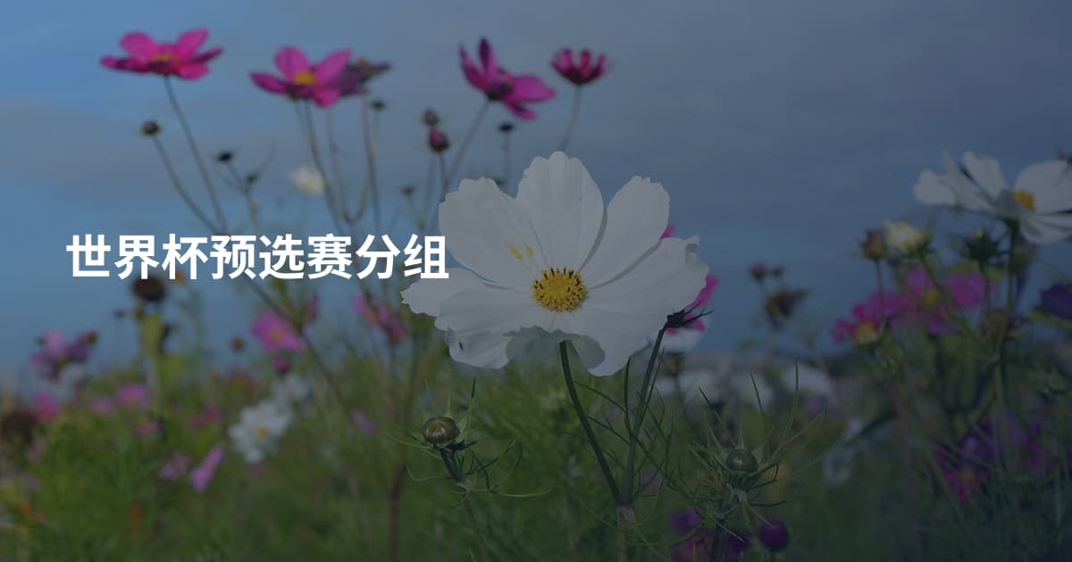 世界杯预选赛分组