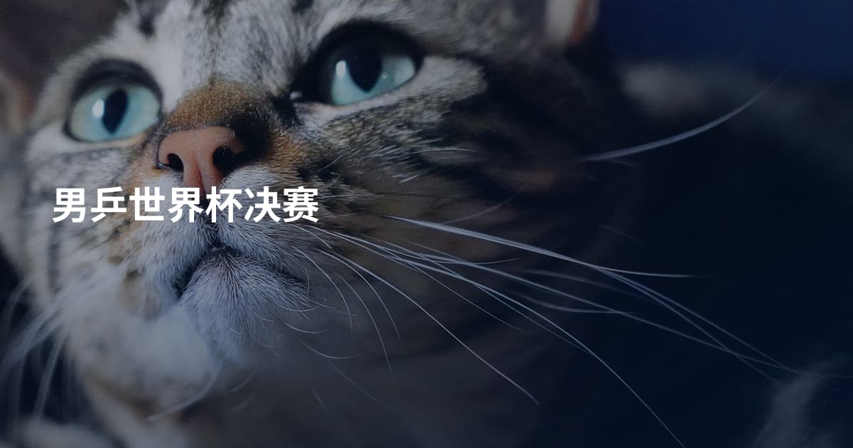 男乒世界杯决赛