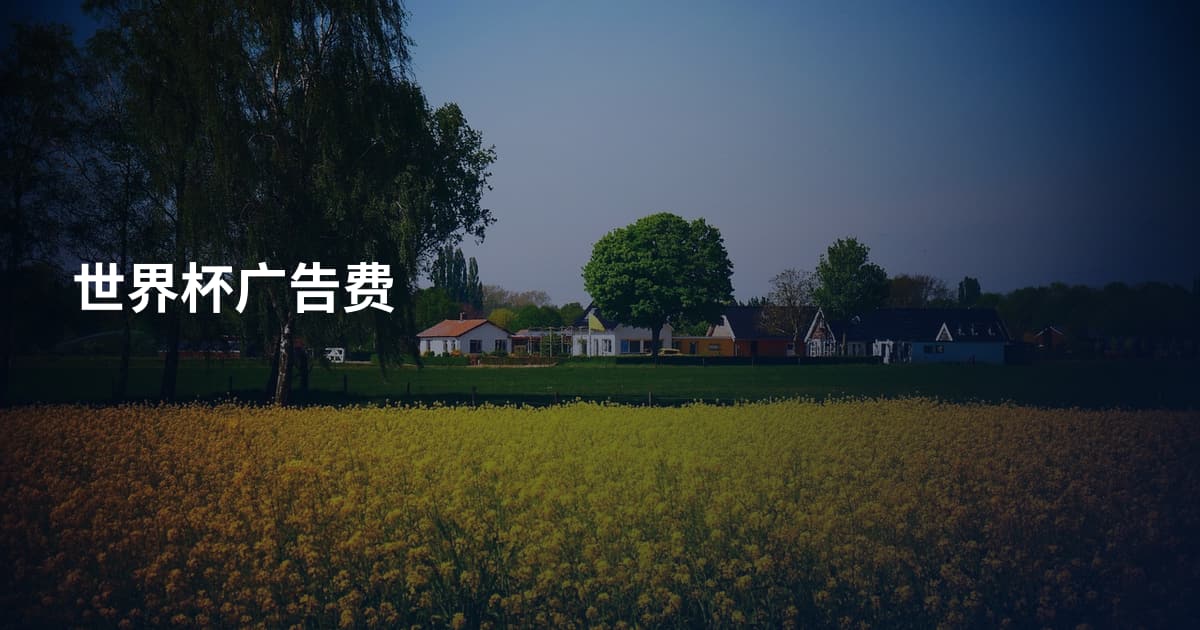 世界杯广告费