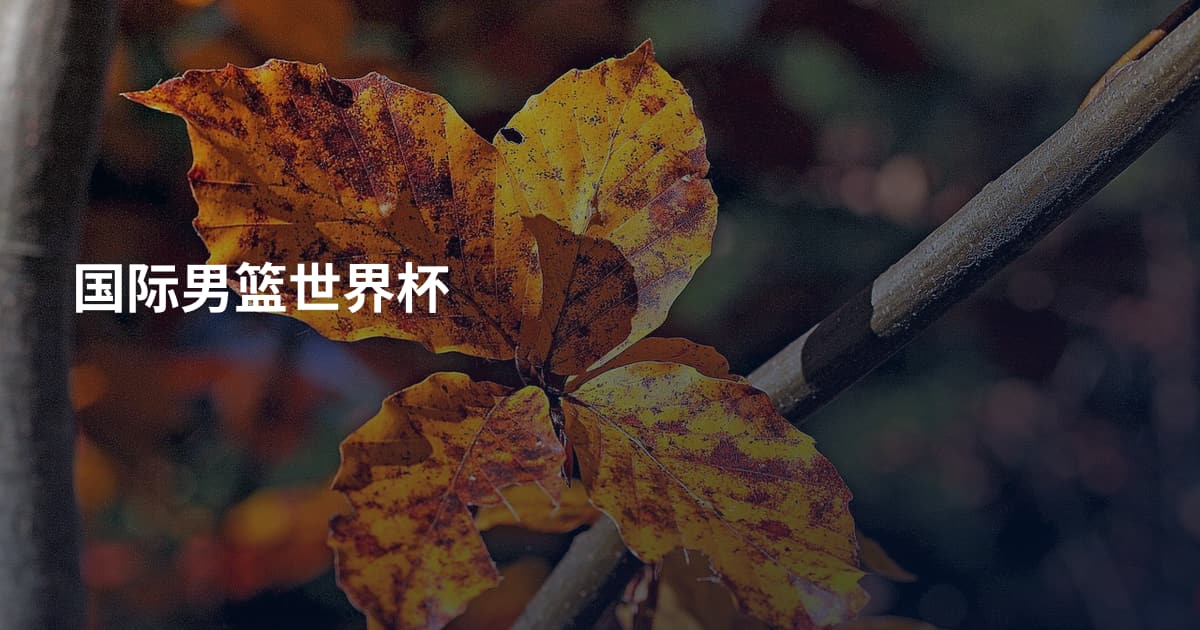 国际男篮世界杯