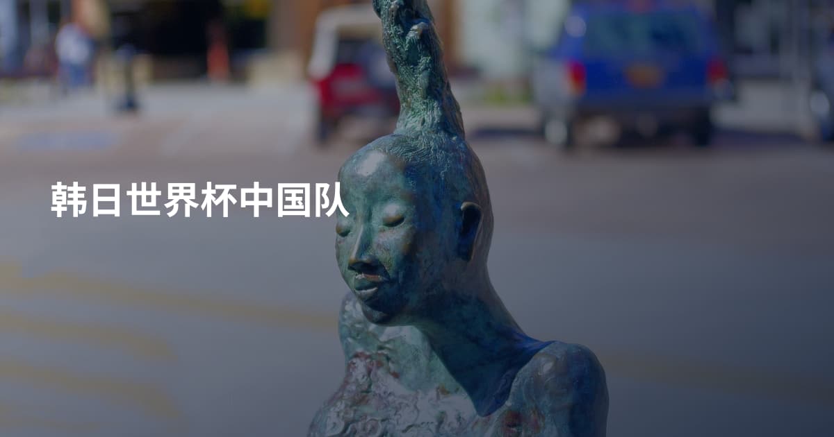 韩日世界杯中国队