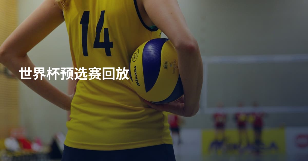 世界杯预选赛回放