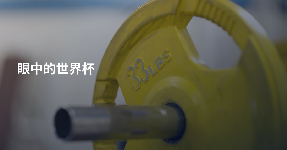 眼中的世界杯