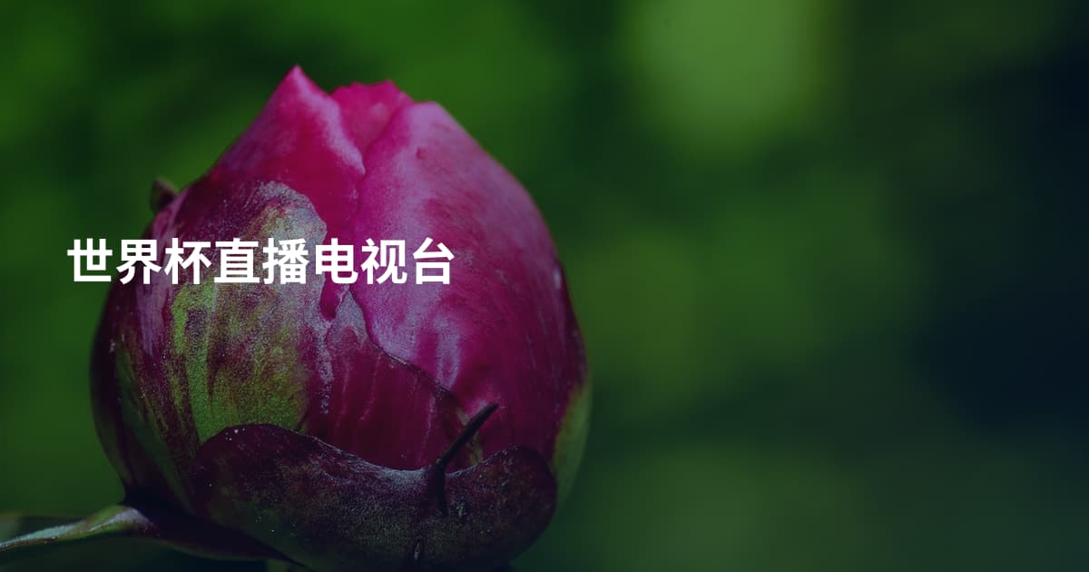 世界杯直播电视台