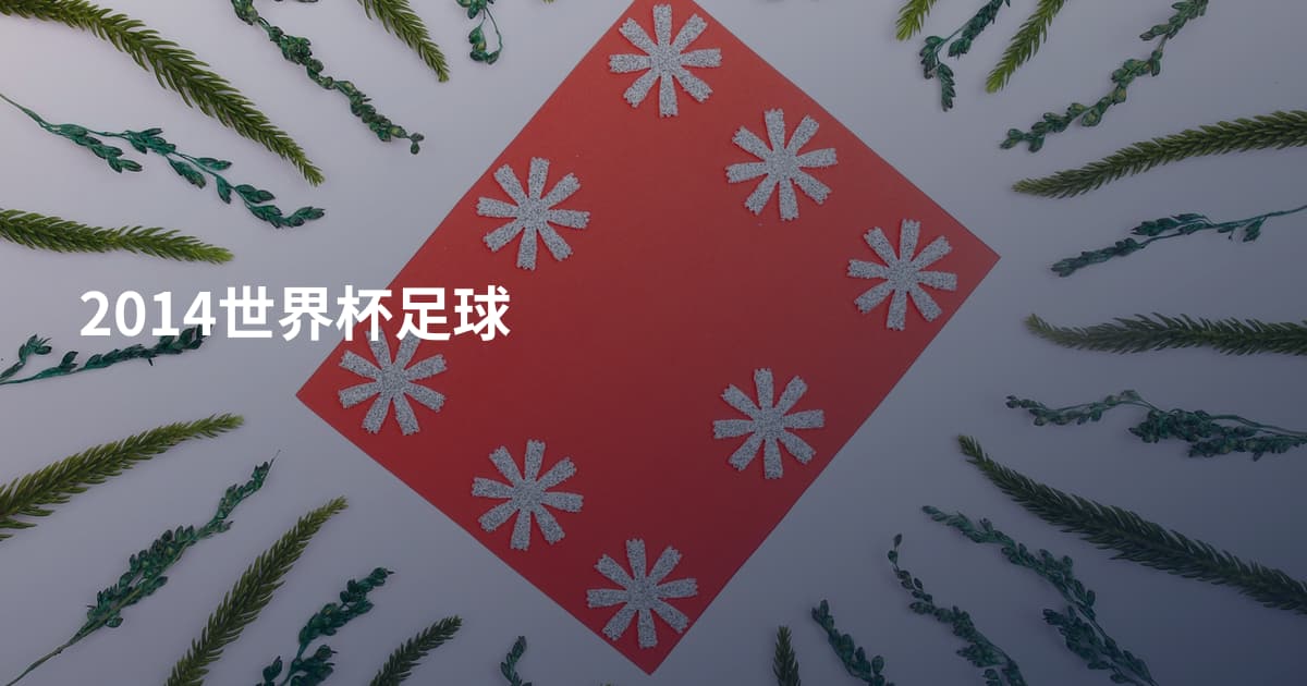 2014世界杯足球