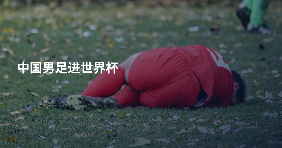 中国男足进世界杯