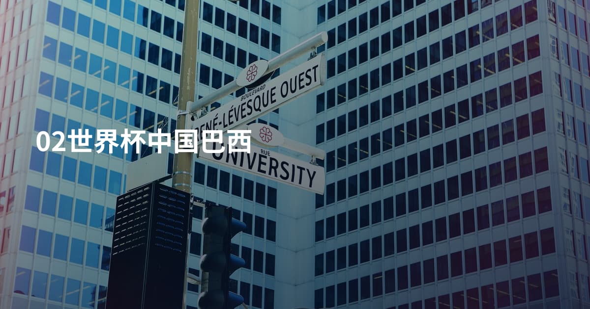 02世界杯中国巴西