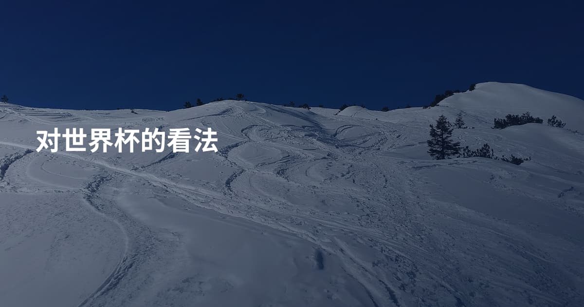 对世界杯的看法