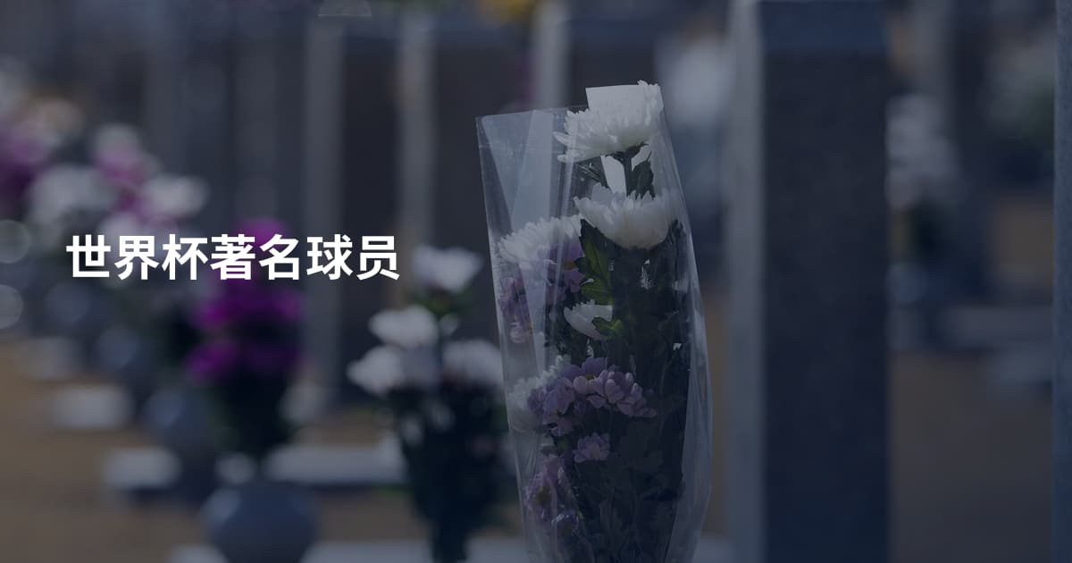 世界杯著名球员