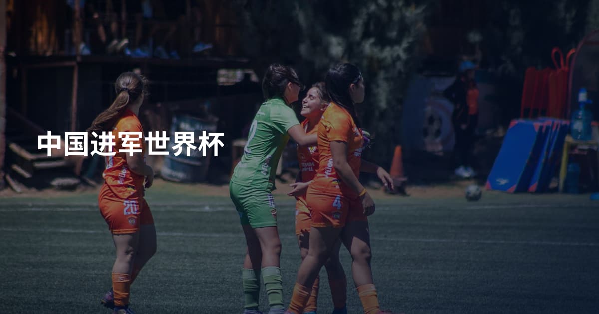 中国进军世界杯