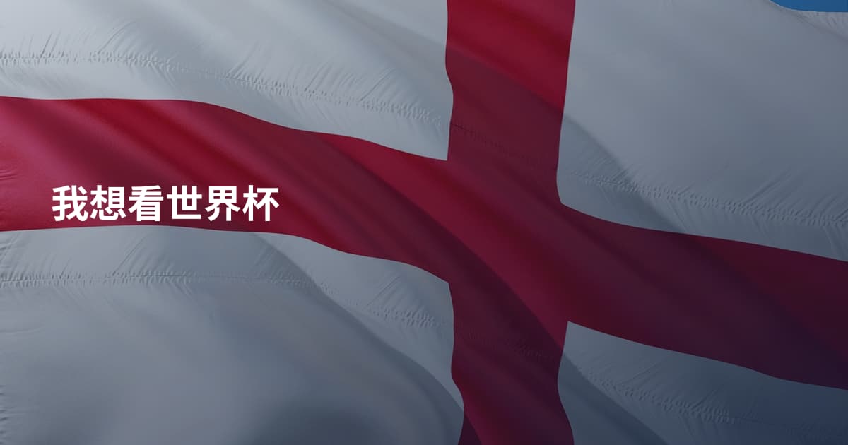 我想看世界杯