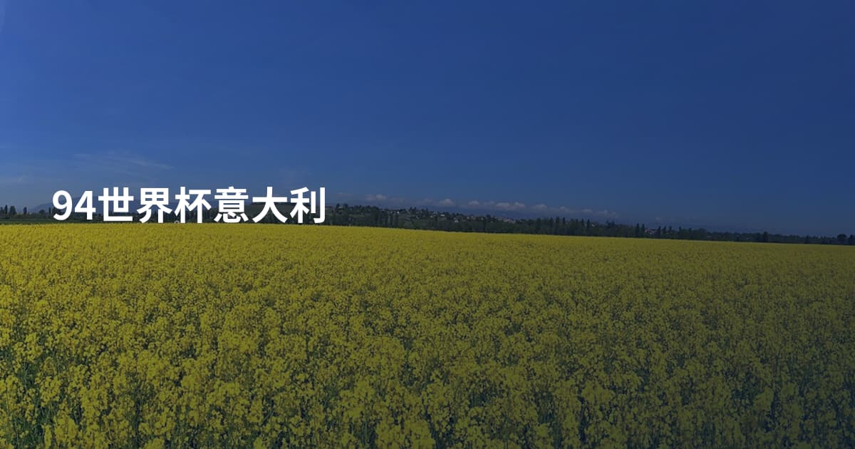 94世界杯意大利