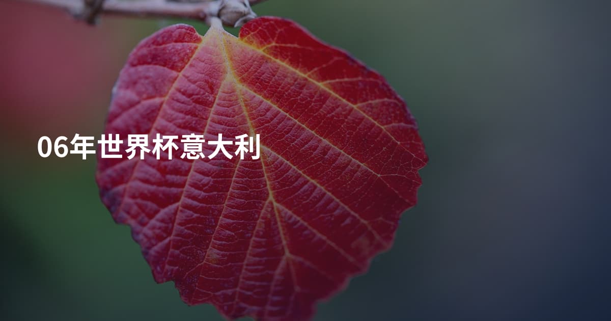 06年世界杯意大利