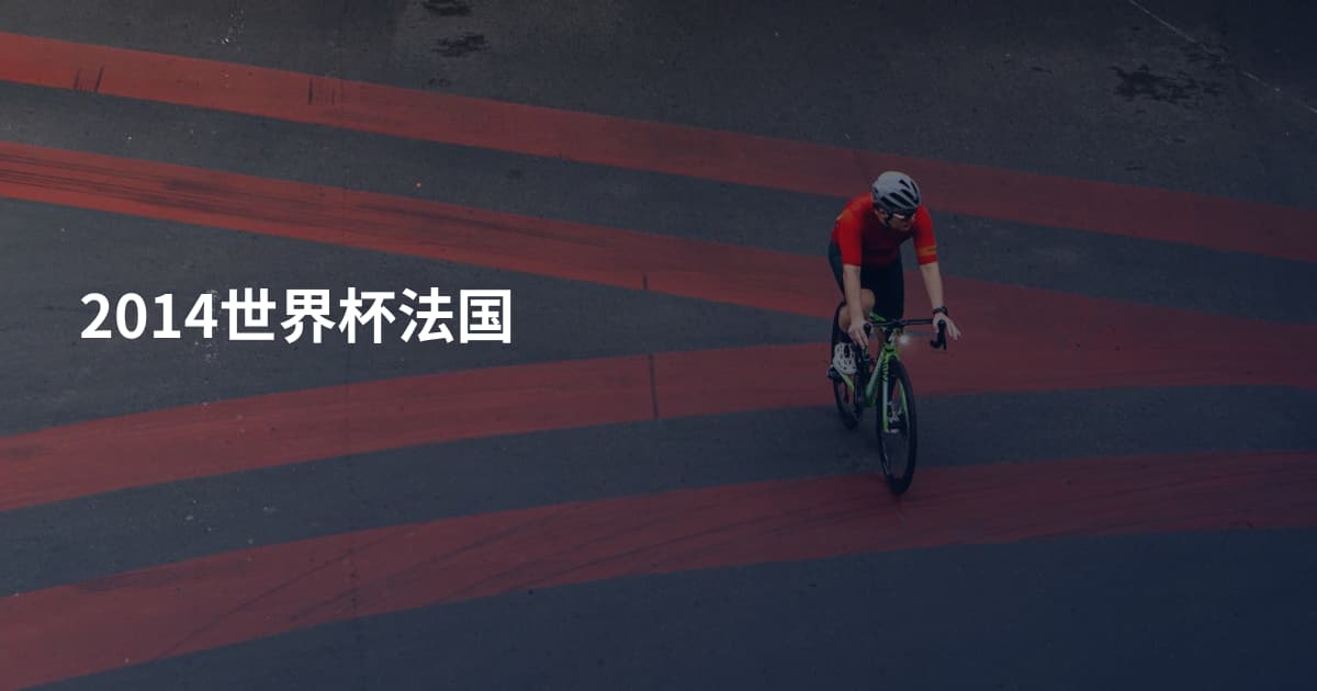 2014世界杯法国