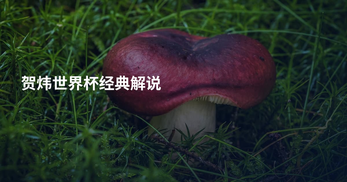 贺炜世界杯经典解说