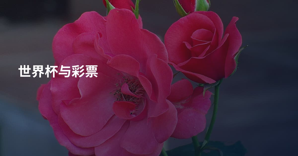 世界杯与彩票