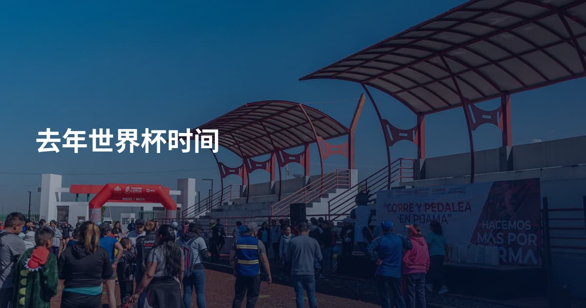 去年世界杯时间