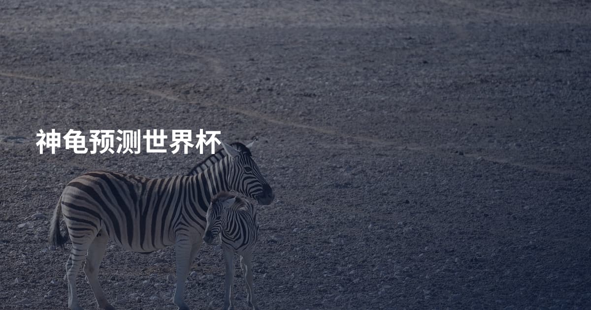 神龟预测世界杯