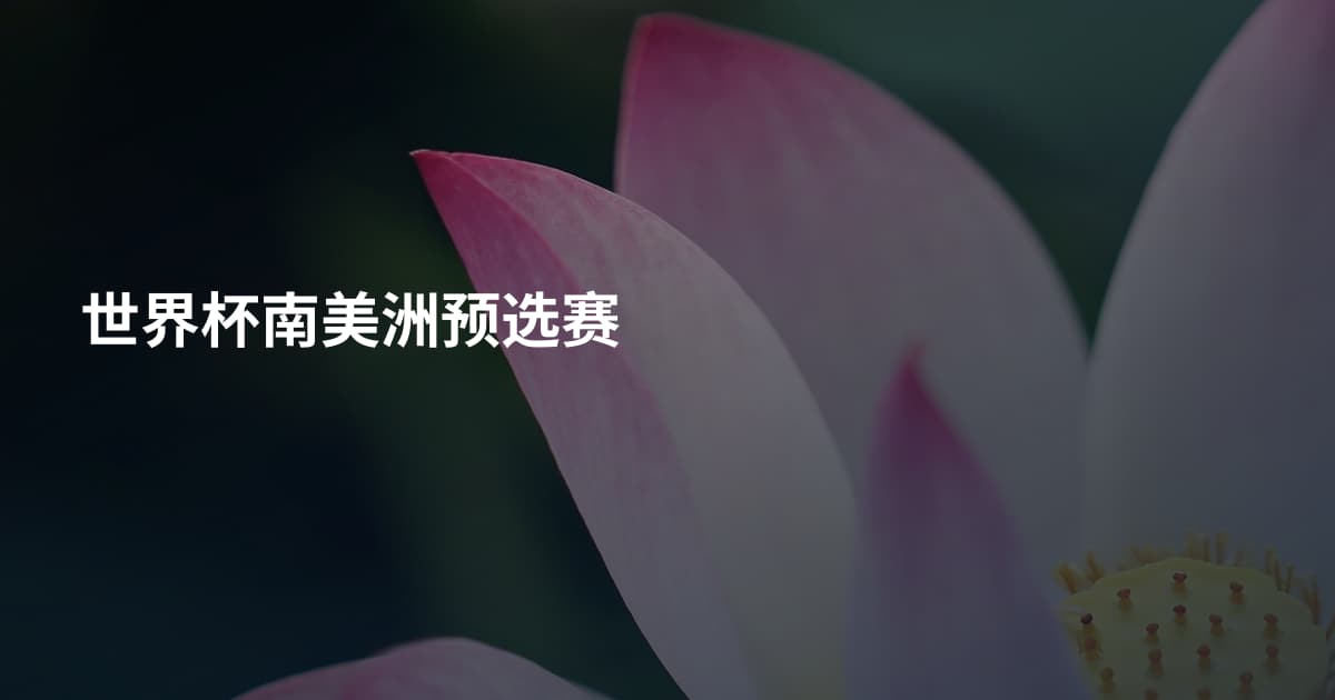 世界杯南美洲预选赛