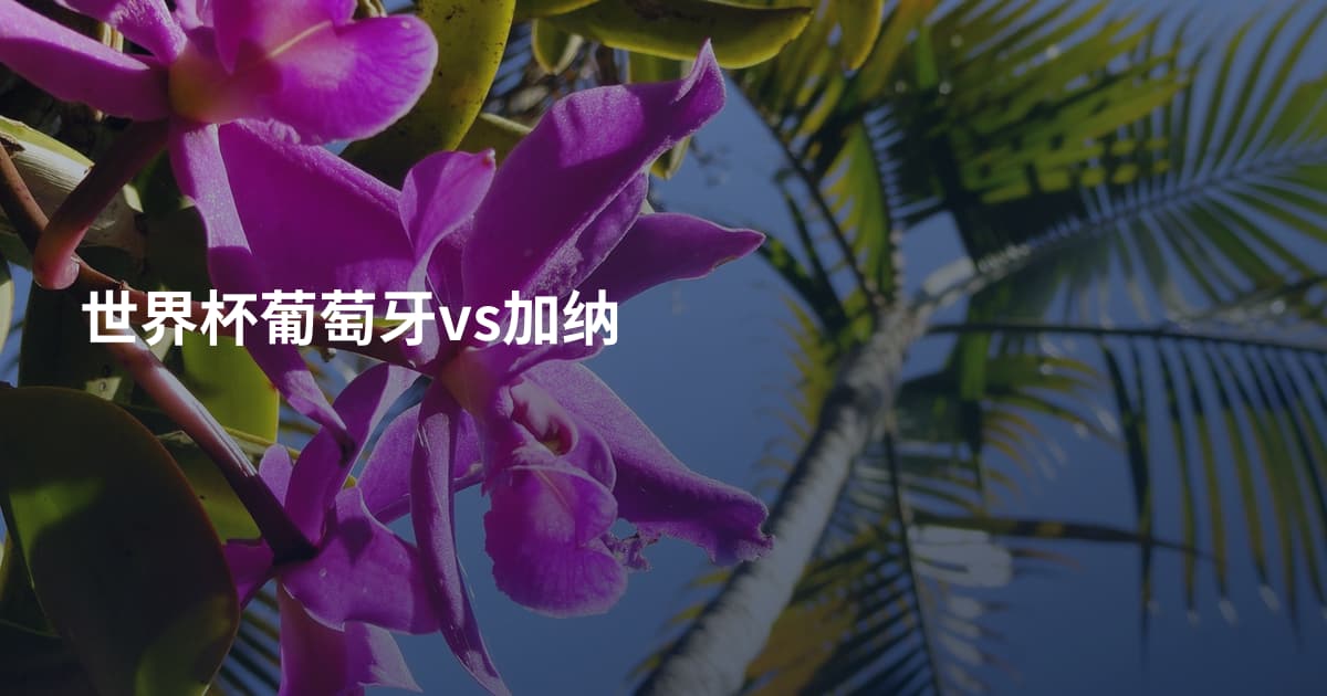 世界杯葡萄牙vs加纳