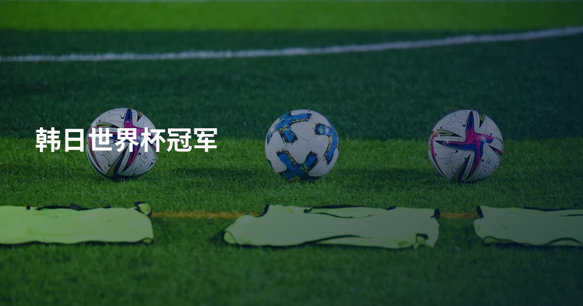 韩日世界杯冠军