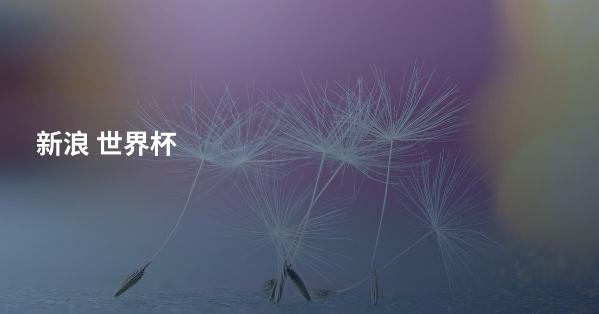 新浪 世界杯