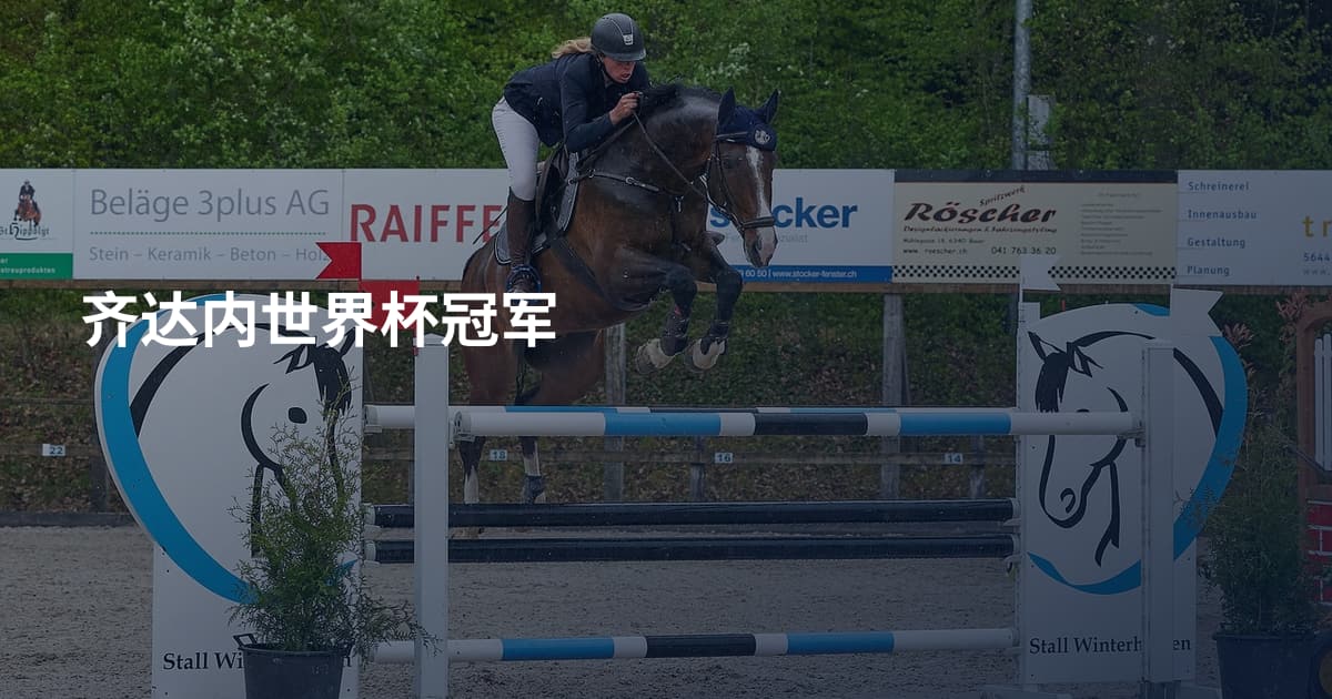 齐达内世界杯冠军