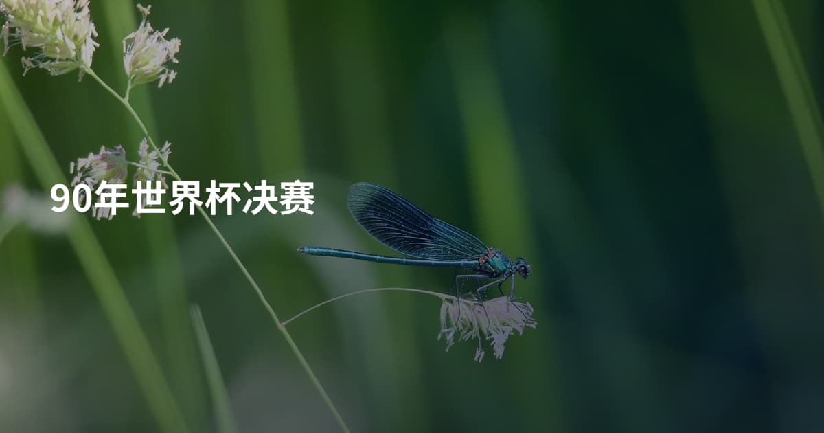90年世界杯决赛