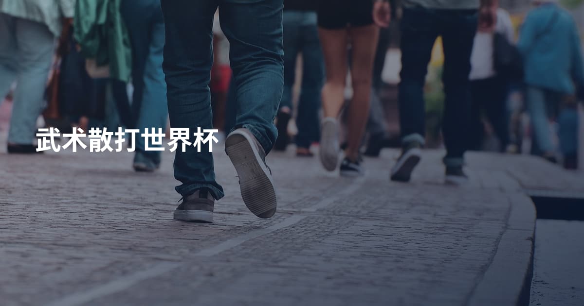 武术散打世界杯