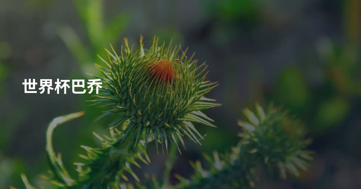 世界杯巴乔