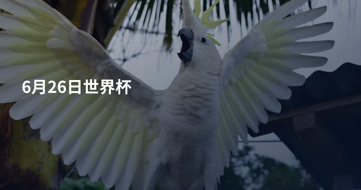 6月26日世界杯