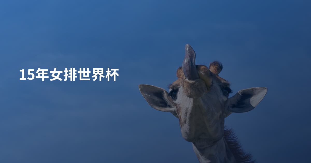 15年女排世界杯